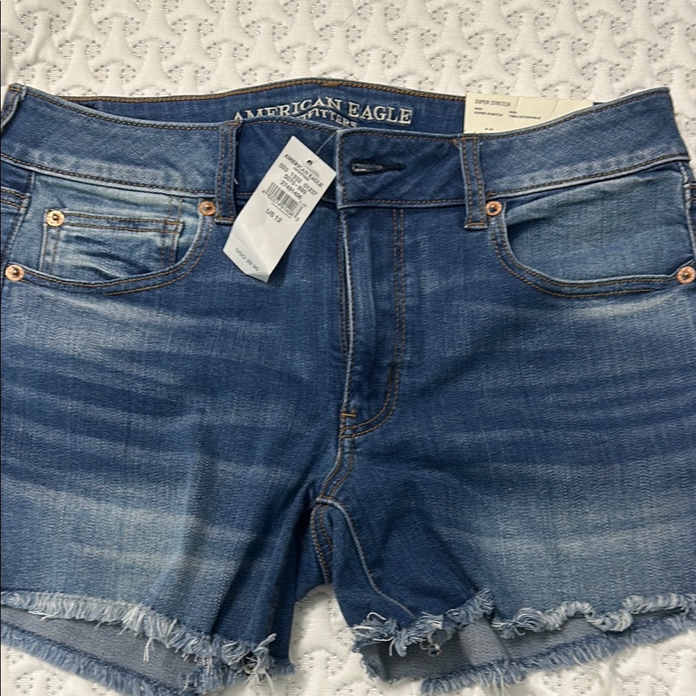 American Eagle Outfitters Blue Jean Shorts